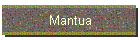 Mantua